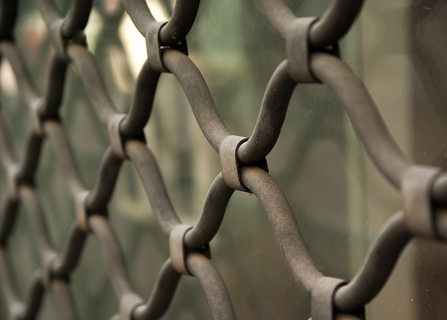 Jacksonville fence company