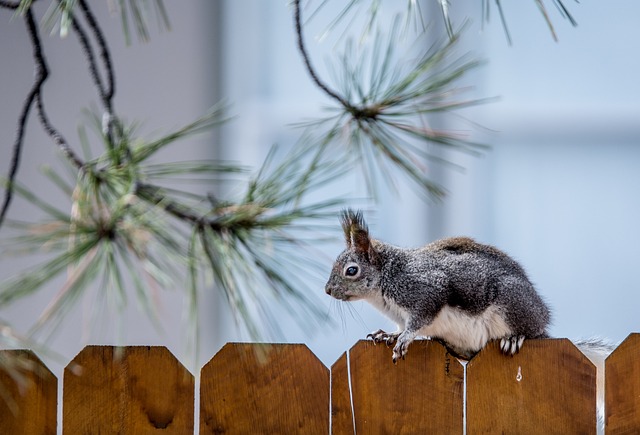 local seo for fence companies