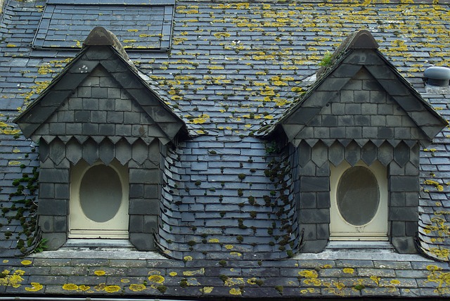 roof repair houston
