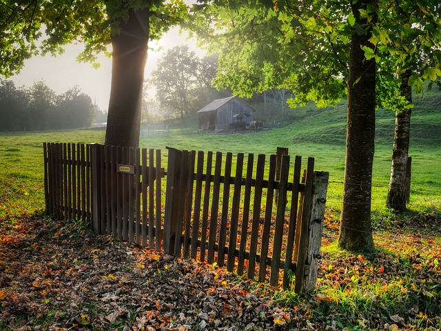 fence, fences