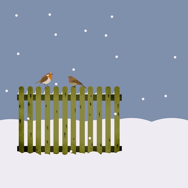 fence, fences