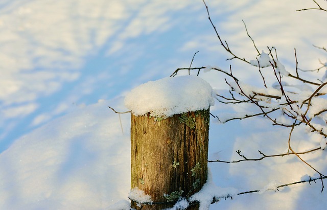 fence, fences