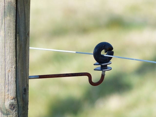 fence, fences