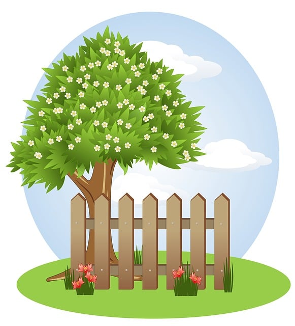 fence, fences