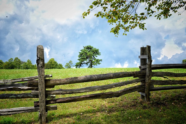 fence, fences