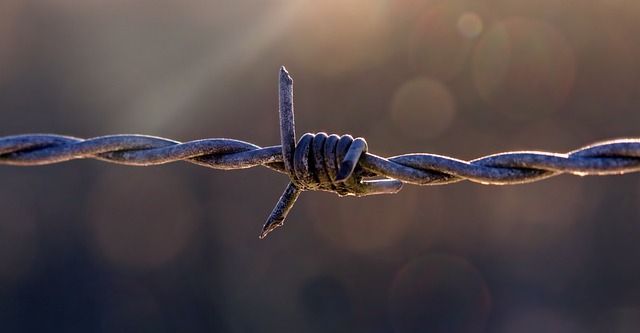 fences