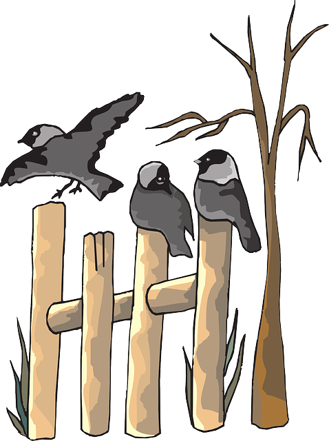fences