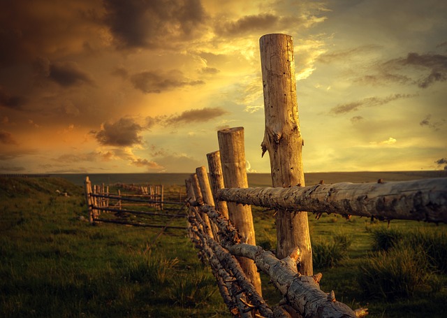 fences