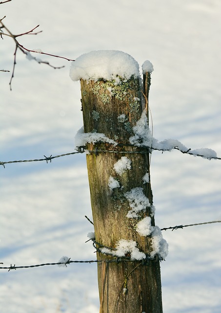 fences