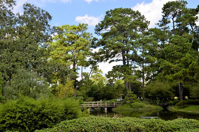 houston roofing company