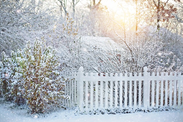 fence-company-houston-640x480-18547289.jpeg