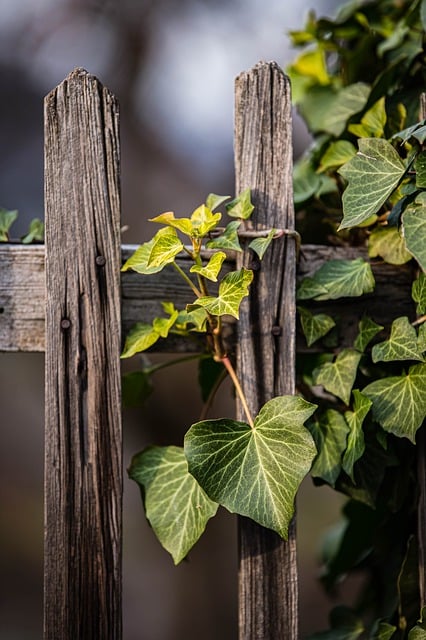 privacy fence installation houston