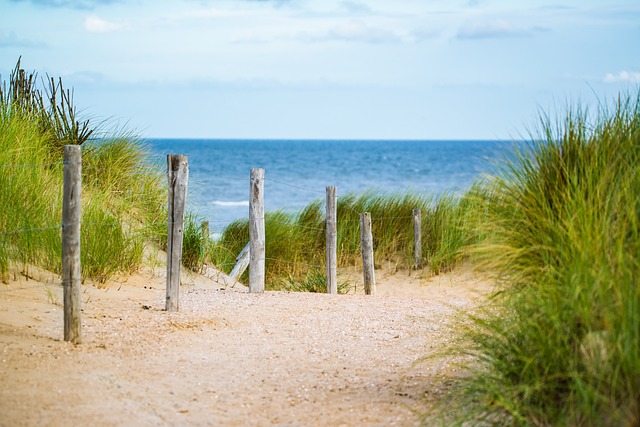 fences-640x480-1168066.jpeg