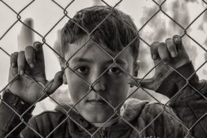 fences-640x480-30000513.jpeg