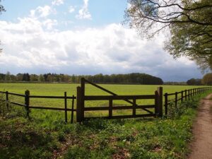 fences-640x480-30979306.jpeg