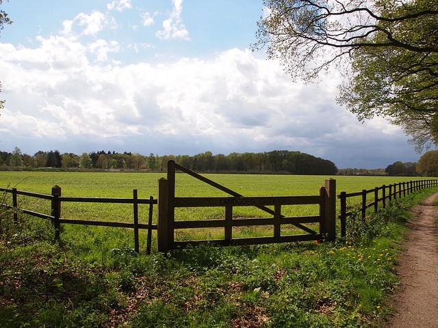 fences-640x480-30979306.jpeg