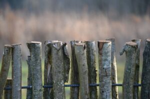 fences-640x480-4967983.jpeg