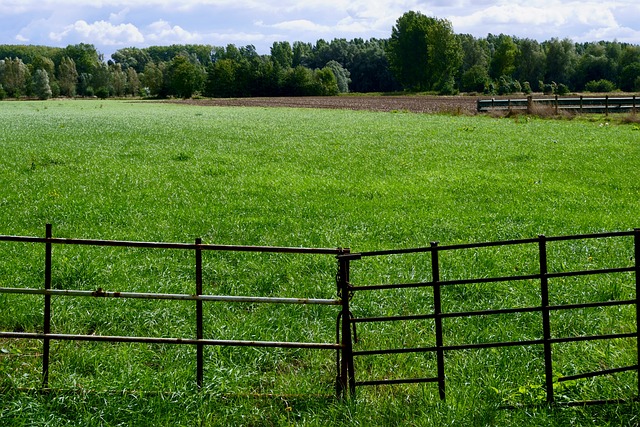 fences-640x480-71880746.jpeg