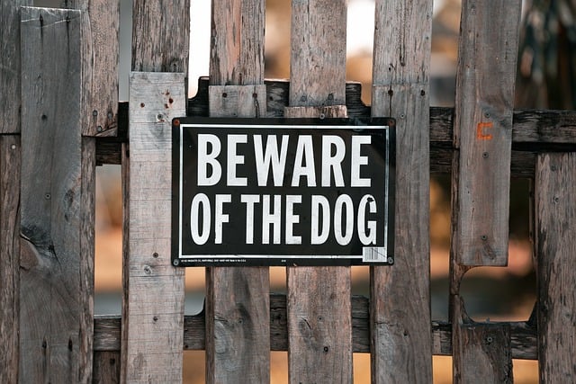fences-640x480-80503483.jpeg
