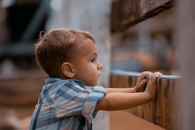 fences-640x480-95374986.jpeg