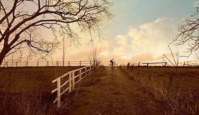 fences-640x480-98000158.jpg