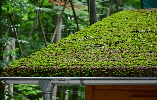 roofing, roofer