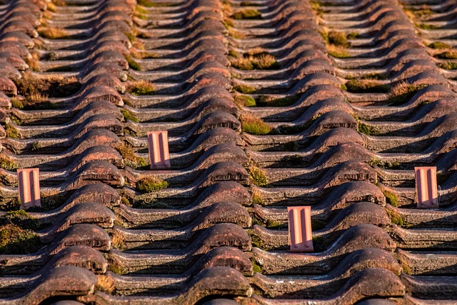 roofing-roofer-640x480-68459077.jpeg