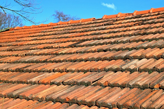 roofing-roofers-640x480-98021283.jpeg