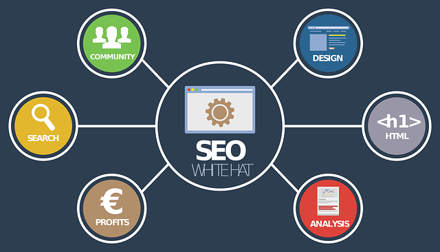 Mastering Local SEO Houston: Strategies for Targeted Link Building and Market Engagement