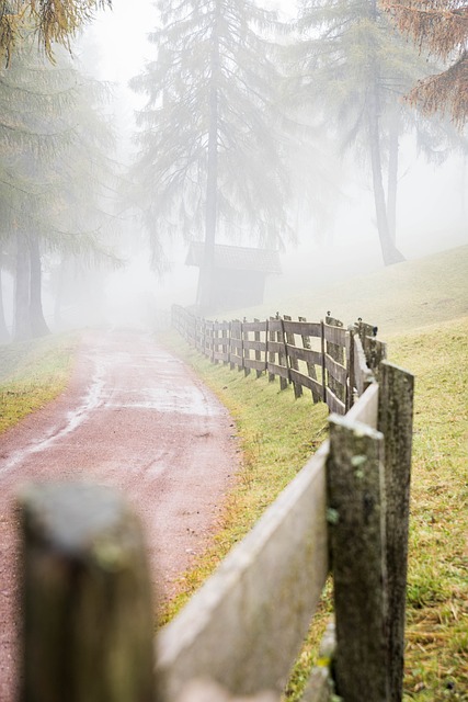 fence, fences