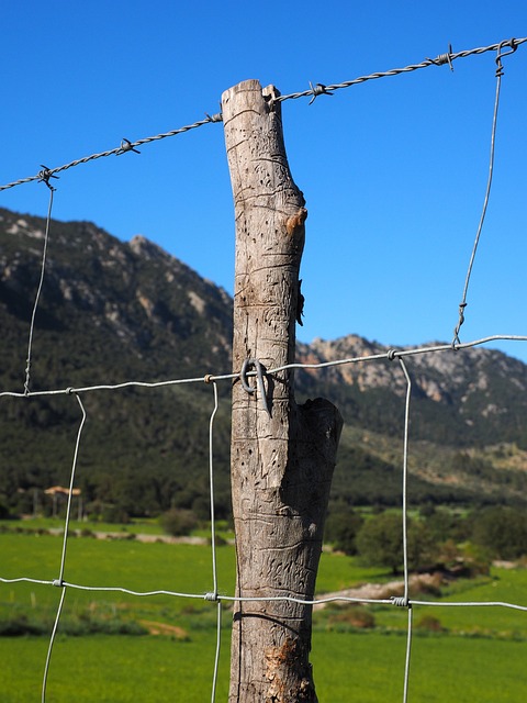 fence, fences