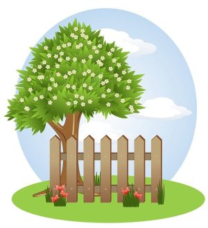 fences-640x480-14485541.jpeg