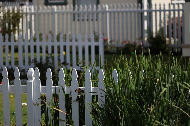 fences-640x480-25926814.jpeg