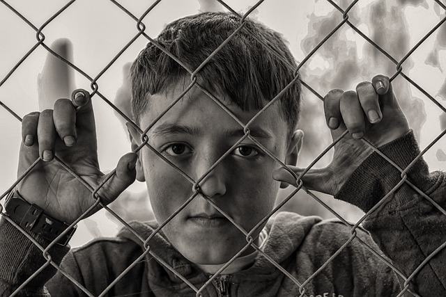 fences