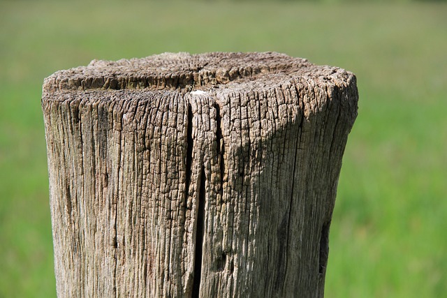fences