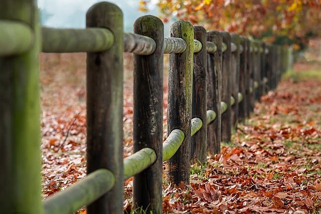 fences-640x480-43365846.jpeg