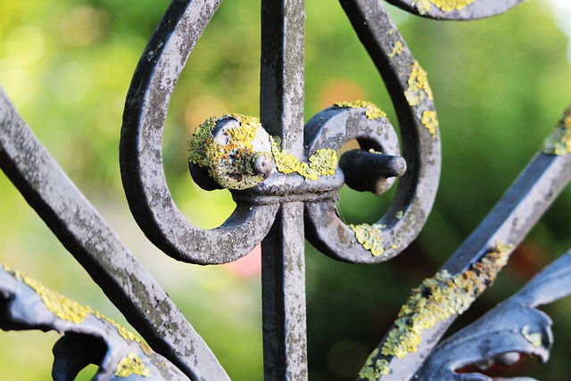 fences