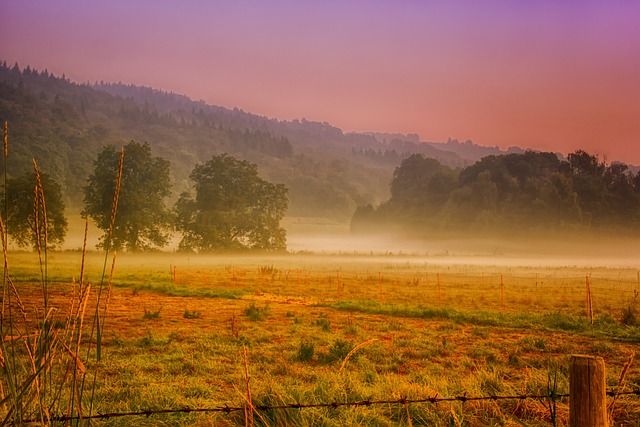 fences-640x480-65881295.jpeg