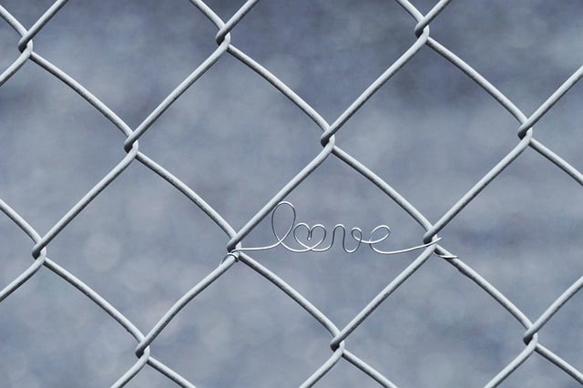 fences-640x480-71114432.jpeg