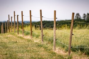 fences-640x480-75496427.jpeg