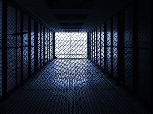 fences-640x480-96024511.jpeg