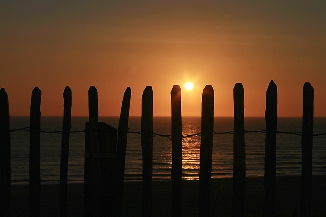 fences
