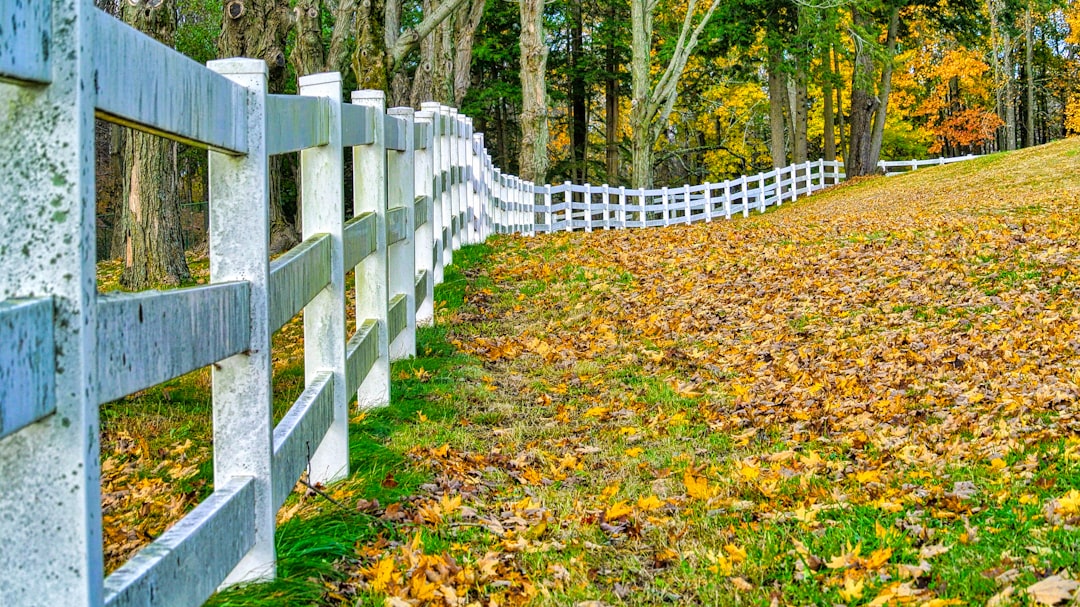 fences