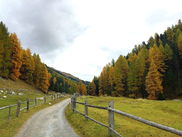 fences-640x480-97052758.jpeg