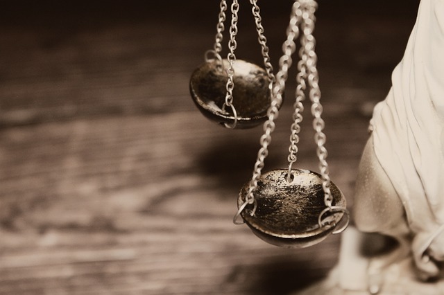law, legal