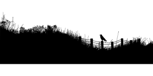 npressfetimg-69.png