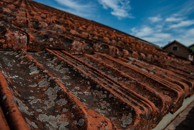 roofing, roofer