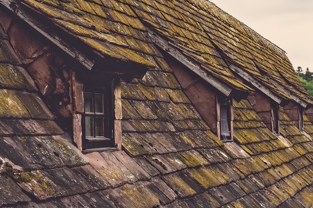 roofing, roofer