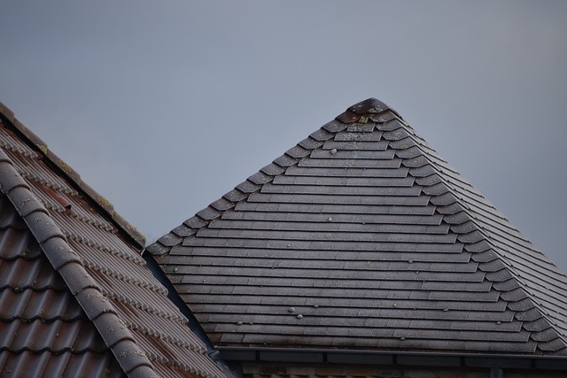 roofing-roofer-640x480-60404148.jpeg