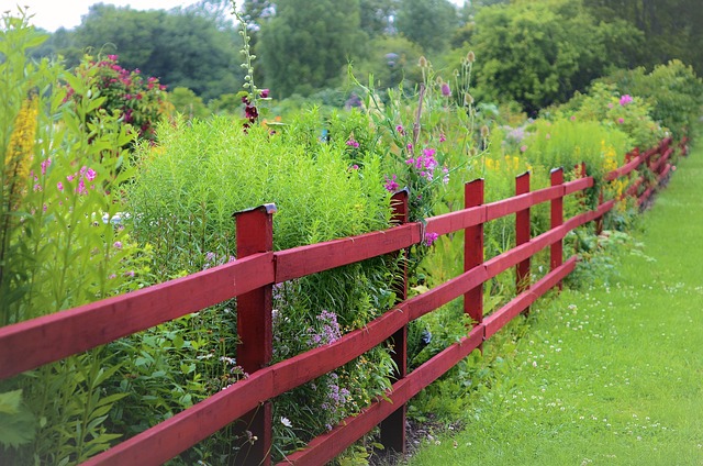 fences-640x480-57736851.jpeg
